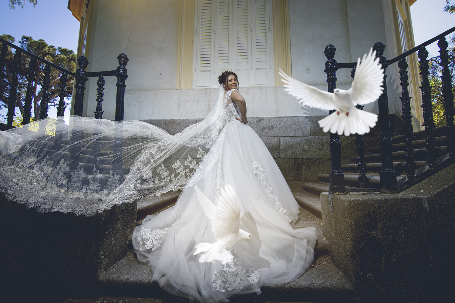 Mobirise Website Builder